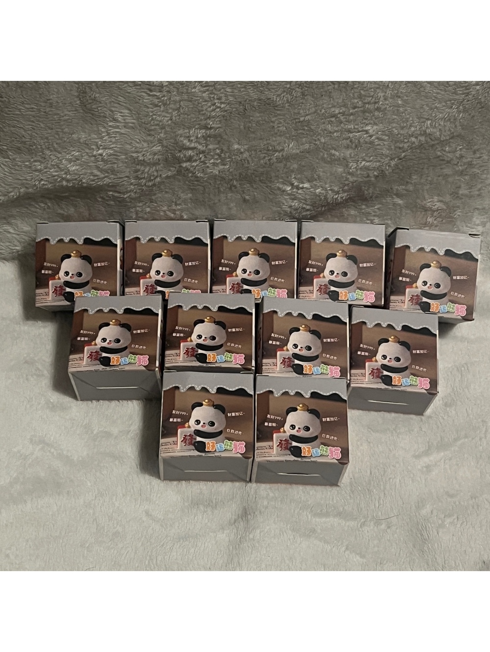 Panda Figure Blind Boxes (11)